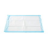 McKesson Procedure Underpad 17 W X 24 L Inch Blue NonSterile (477563_CS) 6/CS
