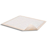Attends® Care Dri-Sorb® Advanced Disposable Underpad 30 X 36 Inch Cellulose / Polymer Heavy Absorbency (452757_CS) 100/CS