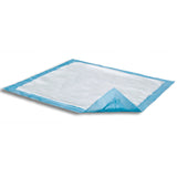 Attends® Care Dri-Sorb® Disposable Underpad 23 X 24 Inch Cellulose / Polymer Heavy Absorbency (419783_CS) 20/CS