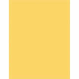 Sparco Premium Grade Pastel Color Copy Paper, 20Lb, 8 1/2 x 11, 10 RM/CT, Canary (SPR05122CT) 10 Reams