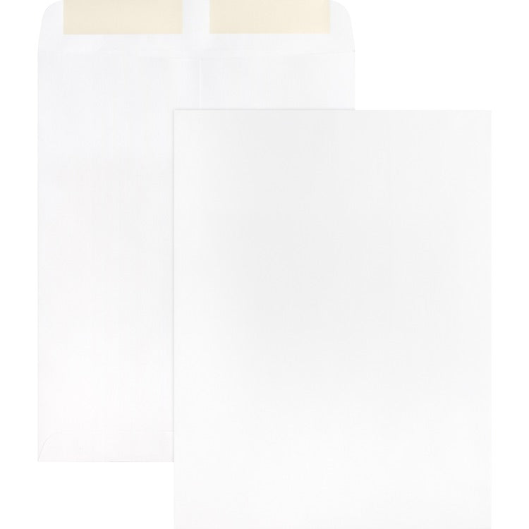 business-source-catalog-envelopes-plain-28lb-9-x-12-2