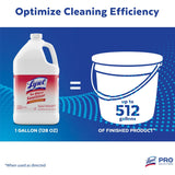 Professional Lysol No Rinse Sanitizer, Concentrate, 128 fl oz (RAC74389) Each