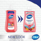 Dial Antibacterial Hand Soap, Pomegranate & Tangerine Scent, 11 fl oz (DIA20943EA) Each