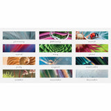 House of Doolittle Recycled Macro View Desk Pad, Desk, 12 Month, January 2026 to December 2026, 18 1/2" x 13" Sheet Size (HOD1486) Each