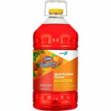 CloroxPro Fraganzia Multi-Purpose Cleaner, 175 fl oz (5.5 quart), Citrus Blossom Scent, (CLO60615EA) Each