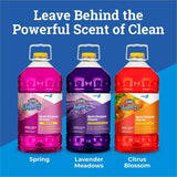 CloroxPro Fraganzia Multi-Purpose Cleaner, 175 fl oz (5.5 quart), Citrus Blossom Scent, (CLO60615EA) Each