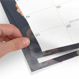 At-A-Glance Midnight Garden Monthly Desk Pad, 21 3/4" x 17", 2.25" x 2.75" Block, 12-Month, Jan 2027-Dec 2027, Headband (AAG1768704) Each