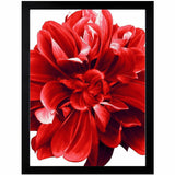 Lorell Wide Frame, 18" Frame Size, Rectangle, Horizontal, Vertical, Wood, Black, 8/Carton (LLR49312CT) Case of 8