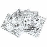 Crayola Bird Watching Coloring Book Printed Book, 40 Pages (CYO041133) Each
