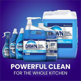Dawn Manual Pot/Pan Detergent, 128 fl oz (4 quart), Original Scent (PGC15260BT) Each
