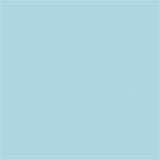 Roaring Spring Enviroshades Gregg-Ruled Steno Book, 15 lb Basis Weight, 6" x 9", 6" x 9", Blue Paper, 6/Carton (ROA12284CT) Case of 6