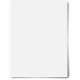 Geographics Royal Brites Dry-Erase Poster Board, 22" x 28", White, 15/Carton (GEO27492B) Case of 15