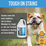 Tough Stuff® Urine Odor & Stain Eliminator, Original, 1 Gallon Bottle (HOS128NTP) Each