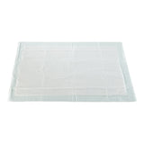 McKesson Disposable Underpad 23 X 36 Inch Fluff / Polymer Moderate Absorbency (807974_CS) 120/CS