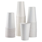 Karat Double Poly Paper Cold Cups, 16 oz, White, 1,000/Carton (KRTCKCP16W) Case of 1000