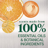 Seventh Generation Foaming Dish Spray, Mandarin Orange Scent, 16 oz Bottle (SEV45169EA) Each