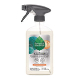 Seventh Generation Foaming Dish Spray, Mandarin Orange Scent, 16 oz Bottle (SEV45169EA) Each