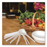 Eco-Products® Plantware Compostable Soup Spoon, Heavyweight, Plastic, White, 50/Pack, 20 Packs/Carton (ECOEPS014) Case of 1000