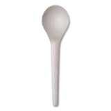 Eco-Products® Plantware Compostable Soup Spoon, Heavyweight, Plastic, White, 50/Pack, 20 Packs/Carton (ECOEPS014) Case of 1000