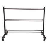 Champion Sports RPX Medicine Ball Rack, Metal, 220 lb Capacity, 18.5 x 62 x 45, Black (CSIRPXRACK) Each