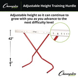 Champion Sports Adjustable Training Hurdle, 41" x 14", 1" Tube dia (CSIPH) Each