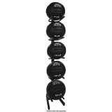 Champion Sports U-Ring Single Medicine Ball Tree, 23" x 22.5" x 64.5", Black (CSISTM1) Each