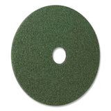 Americo® Black Diamond 3000 Grit Diamond Pad, 20" Diameter, Black/Green, 2/Carton (AM7442420) Case of 2