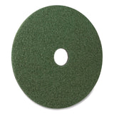 Americo® Black Diamond 3000 Grit Diamond Pad, 17" Diameter, Black/Green, 2/Carton (AM7442417) Case of 2