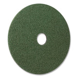 Americo® Black Diamond 3000 Grit Diamond Pad, 28" Diameter, Black/Green, 2/Carton (AM7442428) Case of 2