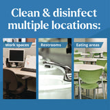 Clorox® EcoClean Disinfecting Wipes, 1-Ply, 8 x 7, Unscented, White, 6/Carton (CLO60605CT) Case of 6