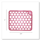 Fresh Products myfresh Refill, Spiced Apple, 6/Box (FRSMYF36SABX) Box of 6