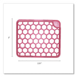 Fresh Products myfresh Refill, Spiced Apple, 36/Carton (FRSMYF36SACT) Case of 36