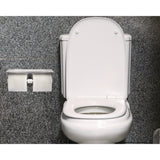 Alpine Industries Double Post Toilet Paper Holder with Shelf Storage Rack, 3.87 x 10.5 x 3.95, Brushed Stainless Steel (ALHALP487B) Each