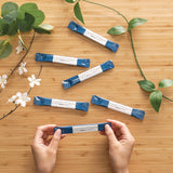 Go Mouthwash Individual Mouthwash Packets, Bold Mint Flavor, 0.37 Packet, 5/Pack, 12 Packs/Box (GMHMW05BOLD) Box of 12