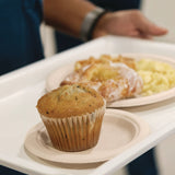 Dart® Compostable Fiber Dinnerware, ProPlanet Seal, Plate, 6" dia, Natural, 1,000/Carton (DCC6FBRP1) Case of 1000