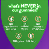 Church and Dwight Prenatal Vitamin Supplement Gummy 90 per Bottle Assorted Fruit Flavor (1125217_BT) 1/BT