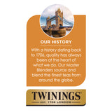 TWININGS® Brew Over Ice K-Cups, Peach, 24/Box (TWGTNA23196) Box of 24