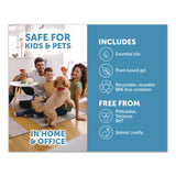 BRIGHT Air® Super Odor Eliminator Gel for Large Spaces, Cool and Clean, 64 oz Tub (BRI901129) Each