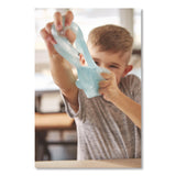 Elmer's® School Glue, 9 oz, Dries Clear (EPIE309) Each