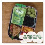 GoGo Squeez® Fruit on the Go, (10) Apple/(10) Apple Cinnamon, 3.2 oz Pouch, 20/Box (GGQ24331019) Box of 20
