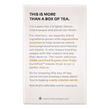 Tazo® Seattle's Best® Tea Bags, Organic Chai, 16/Box (TZOTAZ00305BX) Box of 16