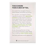 Tazo® Seattle's Best® Tea Bags, Organic Zen, 16/Box (TZOTAZ00309BX) Box of 16