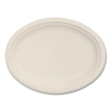 Dart® Compostable Molded Fiber Dinnerware, Platter, 10" Diameter, Natural, 500/Carton (DCC10FBRPLR1) Case of 500