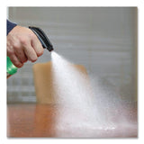 Rust-Oleum® General Purpose Cleaner, 32 oz Spray Bottle, 6/Carton (RST352264) Case of 6