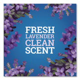 Pine-Sol CloroxPro Multi-Surface Cleaner Concentrated, Lavender Clean Scent, 80 oz Bottle (CLO60608EA) Each