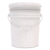 Diversey™ Dibac, Cholorine Scent, 5 gal Drum (DVO08500100) Each