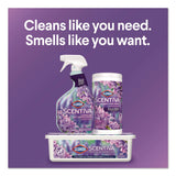Clorox Scentiva Multi Surface Cleaner, Tuscan Lavender and Jasmine, 32 oz, Spray Bottle (CLO60523EA) Each