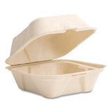 Vegware™ Nourish Molded Fiber Takeout Containers, Compostable, 5.9 x 5.9 x 2.9, White, Sugarcane, 400/Carton (VEGVWHC6NFA) Case of 400