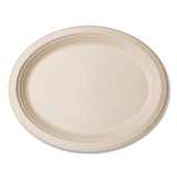 Vegware™ Nourish Molded Fiber Tableware, Compostable, Platter, Sugarcane, 8 x 10, White, 500/Carton (VEGVWP009NFA) Case of 500