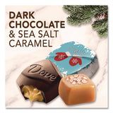 Dove® Chocolate Promises Frosty and Festive Dark Chocolate and Sea Salt Caramel Candy, 7.94 oz Bag (DOEMMM59122) Each